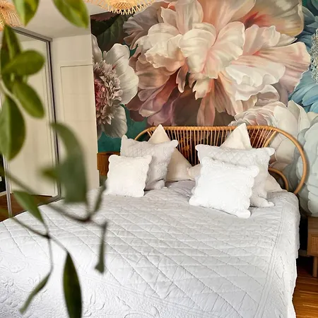 Stadtwohnung Mit Garten Kassel