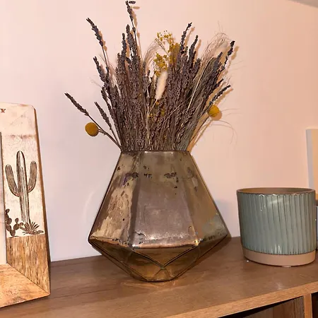 Stadtwohnung Mit Garten Kassel