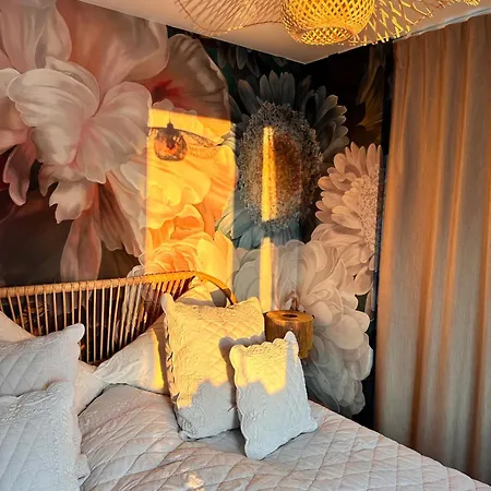 Stadtwohnung Mit Garten Kassel