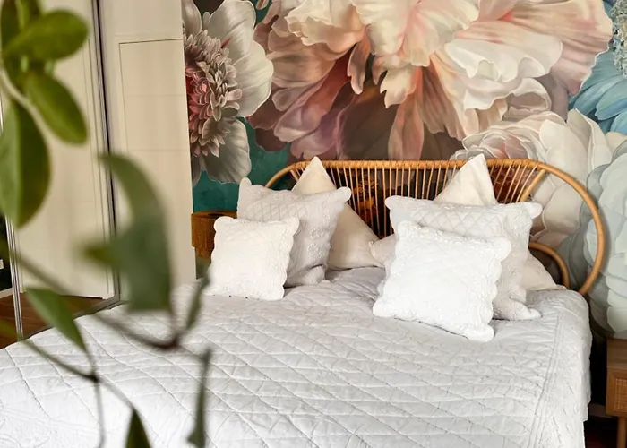 Stadtwohnung Mit Garten Cassel