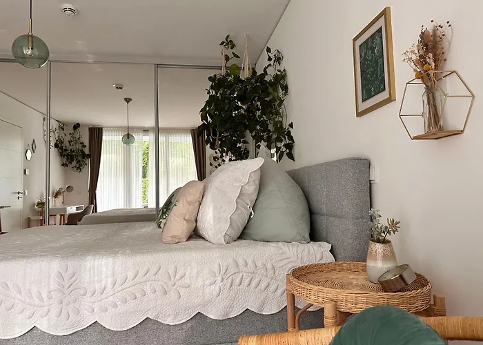 Appartement Stadtwohnung Mit Garten Cassel