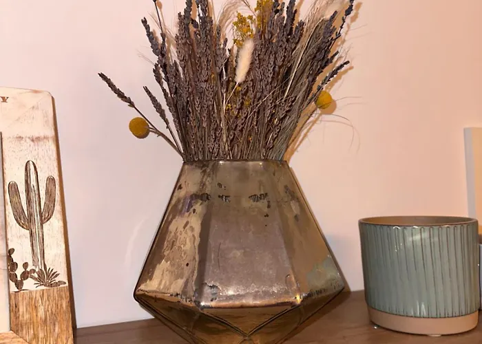 Stadtwohnung Mit Garten Cassel