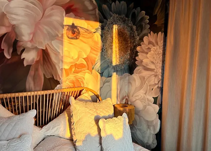 Stadtwohnung Mit Garten Cassel